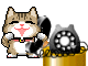cat 13